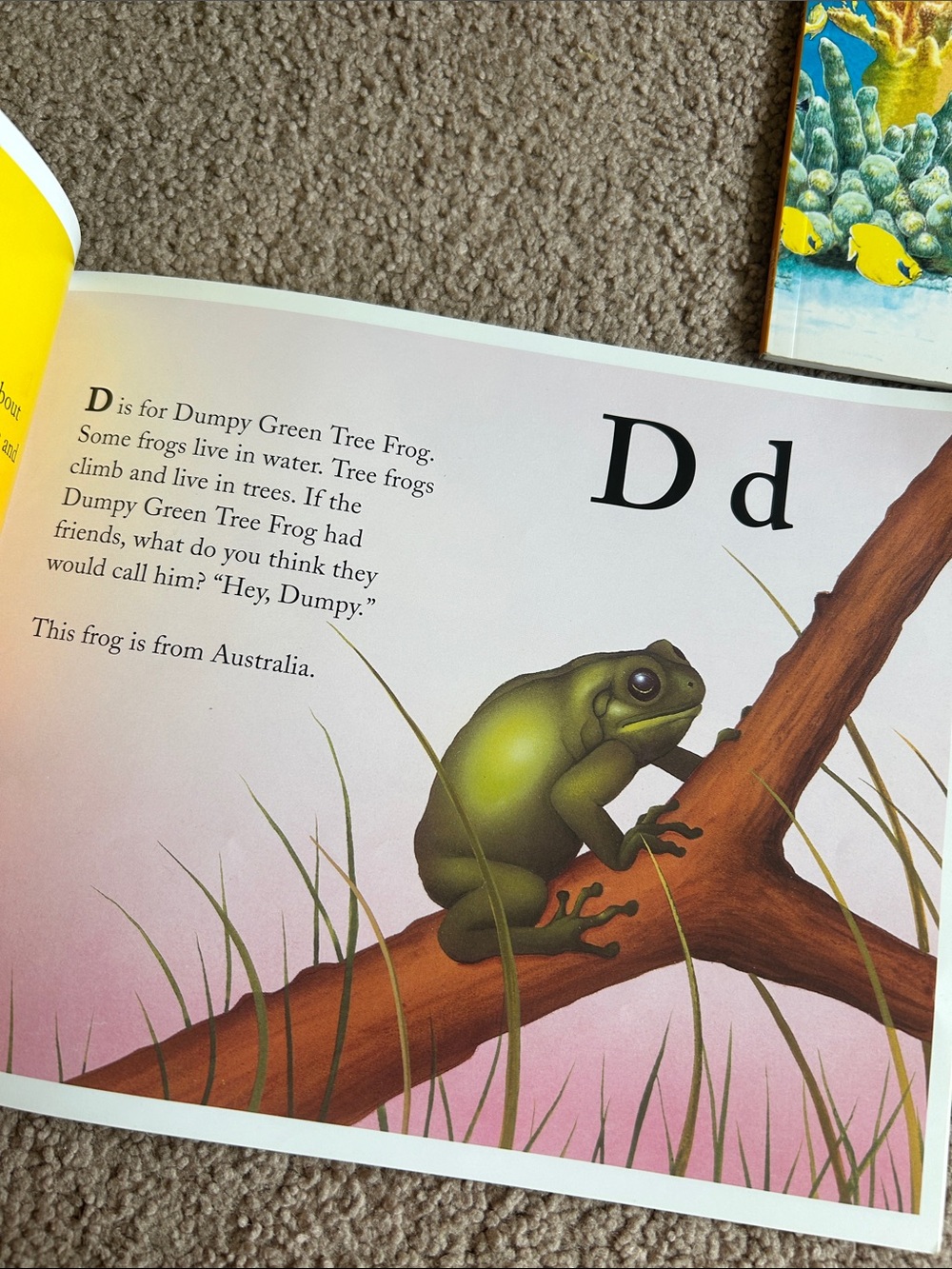 Alphabet Book Collection - Picture 4 of 8